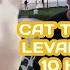 10 Hours Cat Vibing To Ievan Polkka Official Video HD Cat Vibing To Music Cat Vibing Meme