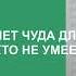 Буктрейлер к книге Кати Брандис Дети леса превращение Карага