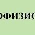 Психофизиология Часть 4