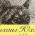 Главы 6 7 Повесть Шурсямга молодой волк Михаил Юхма