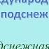 Подснежная нежность