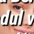 Iuliana Beregoi Modul Vară Versuri
