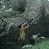 He Helped The Snake Pull Out The Wooden Thorns 大蛇3龙蛇之战 Snake3 Thriller Horror 灾难片 Shorts