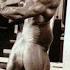 Tom Platz Night Lovell Dark Light Gin Eng Flip Tom Platz Edit