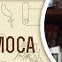 Книга пророка Амоса Глава 4 Андрей Десницкий Библия