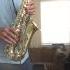 Standchen From Schwanengesang Franz Schubert On Alto Sax