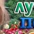 РУССКИЕ НАРОДНЫЕ ПЕСНИ КРАСИВЫЕ РУССКИЕ ПЕСНИ ДЛЯ ДУШИ