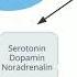 Bin Ich Depressiv