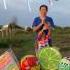Sharing Lolipop Candy With Different Flavor Candy Funny Short