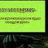 Likaus77 на Twitch Gdfgdfgdfgdf