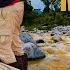 Trekking Adventure Gone Wrong Rwenzori National Park