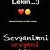 Qayg Uli Video 3 Muslimvine Yangikun Love Trend