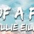 Billie Eilish BIRDS OF A FEATHER Lyrics