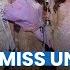 Parah Banget 30 Finalis Miss Universe Tanpa Busana Diduga Direkam CCTV Difoto HP