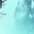 Tommy Trash I O Ft Daisy Guttridge Oxygen
