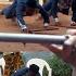 FULL MOVIE New Released Movie Today KAIMA AND THE PRINCE 1 2 FLL MOVIE Nigerian Nollywood