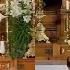 St John Cantius Latin Mass And Novus Ordo Side By Side