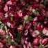 Cranberry Cilantro Salsa