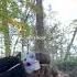NOSE BOOP 3 Therian Furry Cosplay Fyp