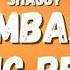 Shaggy Boombastic Sting Remix