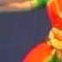 Bharathanatyam Pushpanjali Drishya Bharatham Kirti Ram Gopal Vol 7