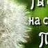Ты самый лучший на свете Папа я тебя очень люблю