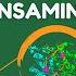 CONOCE ACERCA DEL EXAMEN TGO TRANSAMINASA