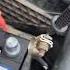 What S Draining Your Battery How To Find A Parasitic Draw EASY