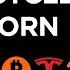IS Altcoin Season Dead BTC MSTR Buy Signal