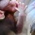 Troop Alba Group Pity Poor Baby Ara Never Sweet Take Care From Mom But Baby So Lovely