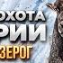 Трофейная охота в Австрии Альпийский козерог