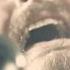 Beards Whiskey Modern Day Outlaw