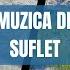 MUZICA DE SUFLET Cele Mai Inedite Melodii