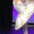 Maria Polikarpova Age 14 Vestalka Variation From Paquita Vaganova Academy