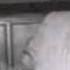 Please Don T Talk About Me When I M Gone Bill Lee