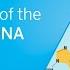 The Discovery Of The Structure Of DNA AMS OpenMind