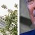 Another Smear Campaign Why Trump S Latest Action Against Harvard Is Retaliatory Politics