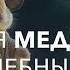 Детская медитация Волшебный Лес