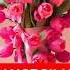 8 MART TABRIKLARI 8 MART TABRIGI 8 МАРТ ТАБРИГИ Love Shorts Ytshorts 8mart 8march Trending