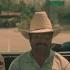 Michel Cleis Hey Lady Luck Official Music Video