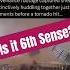 Natural Instinct 6th Sense Animal Behaviour Storm Naturalinstincts Viralvideo Shorts