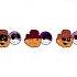 All Skid Pump Icons That Exist Friday Night Funkin Shorts
