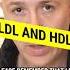 This Is HDL And LDL Difference Between LDL AND HDL