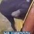 Дальнобой по африкански спасибо что едет