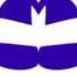 REQUESTED Full Best Animation Logos In Does Not Respond Right Mirrored