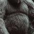 This Daylight Footage Might Be The Clearest Bigfoot Sighting Ever