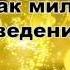 Дональд Трамп Думай как миллиардер Аудиокнига