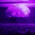 Live Another Day Slowed Reverb