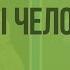 Строение половой системы человека Видеоурок по биологии 8 класс