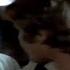 Widescreen Collection Trailer 20th Century Fox 1993